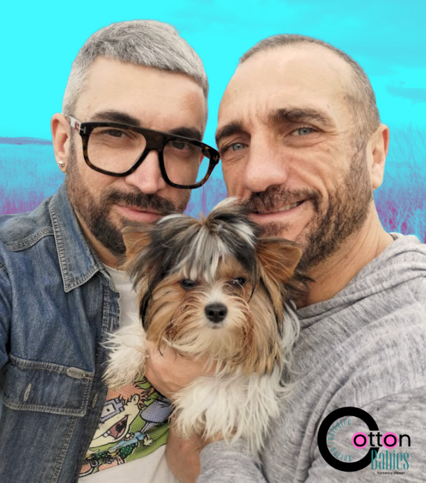 El blog de cotton babies