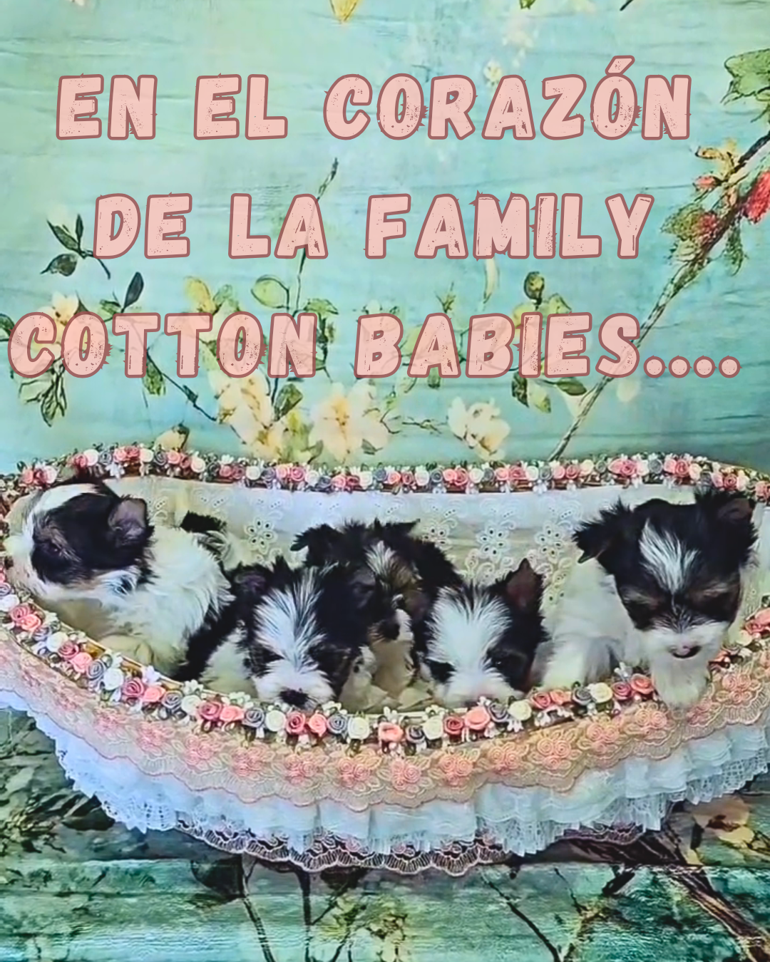 en el corazón de…….