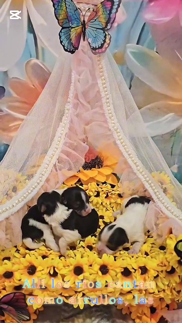 La vida nuevamente nos sonríe…..